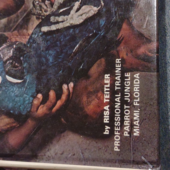 Taming and training Macaws birds by risa teitler - Picture 3 of 12